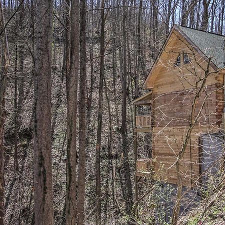 The Phoenix Cabin With Hot Tub In Gatlinburg! Exteriör bild