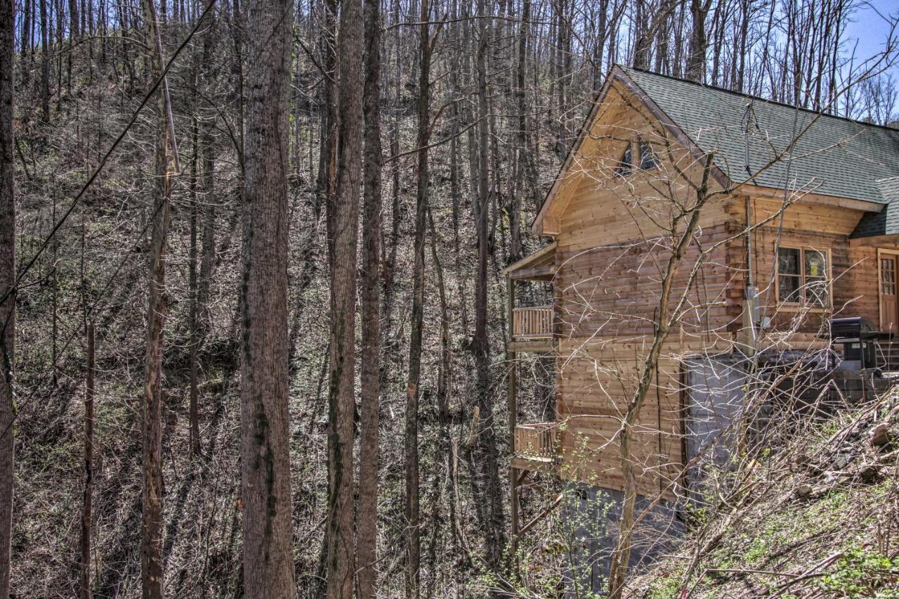 The Phoenix Cabin With Hot Tub In Gatlinburg! Exteriör bild